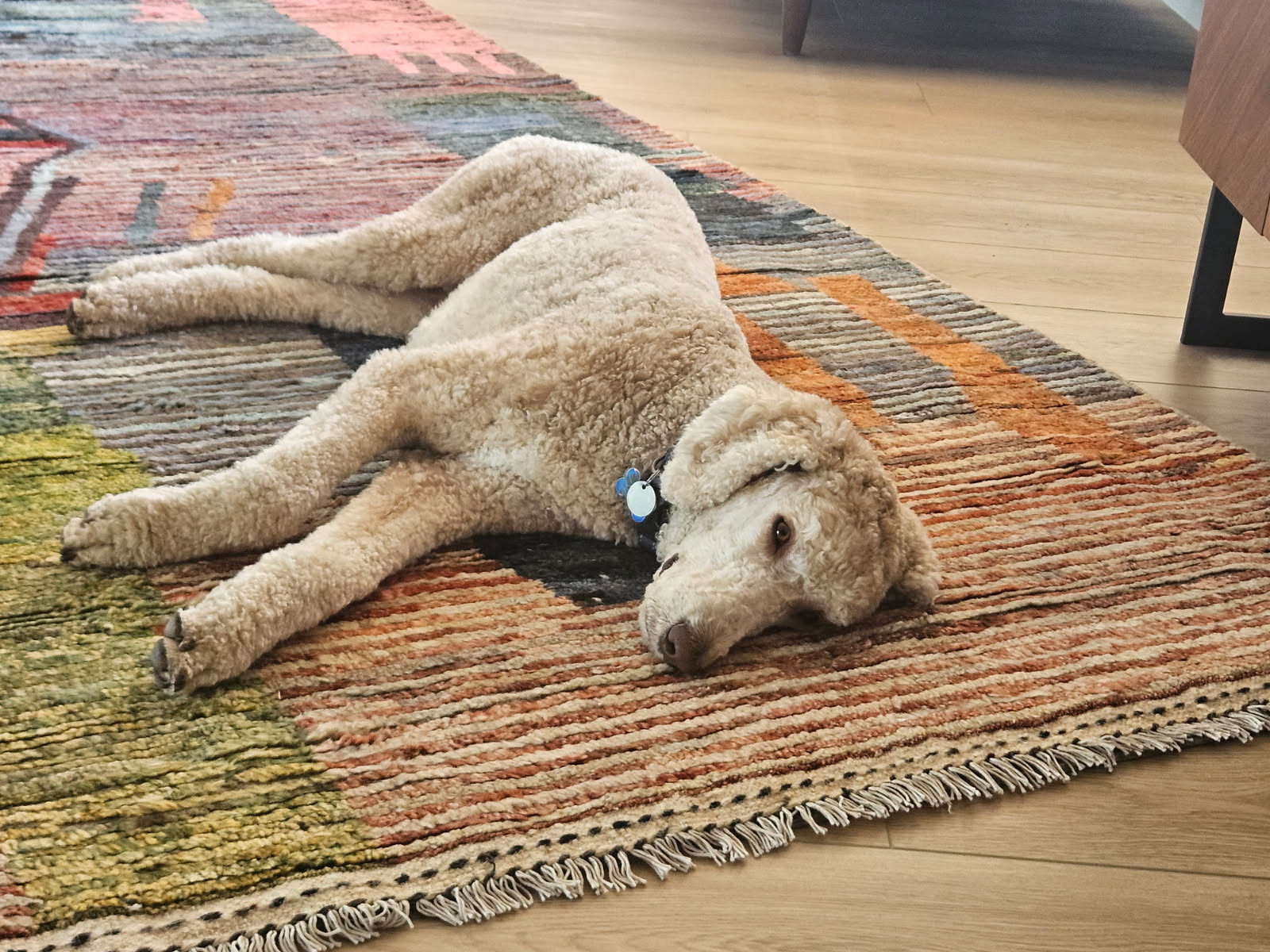 Mid Century Home Renewed