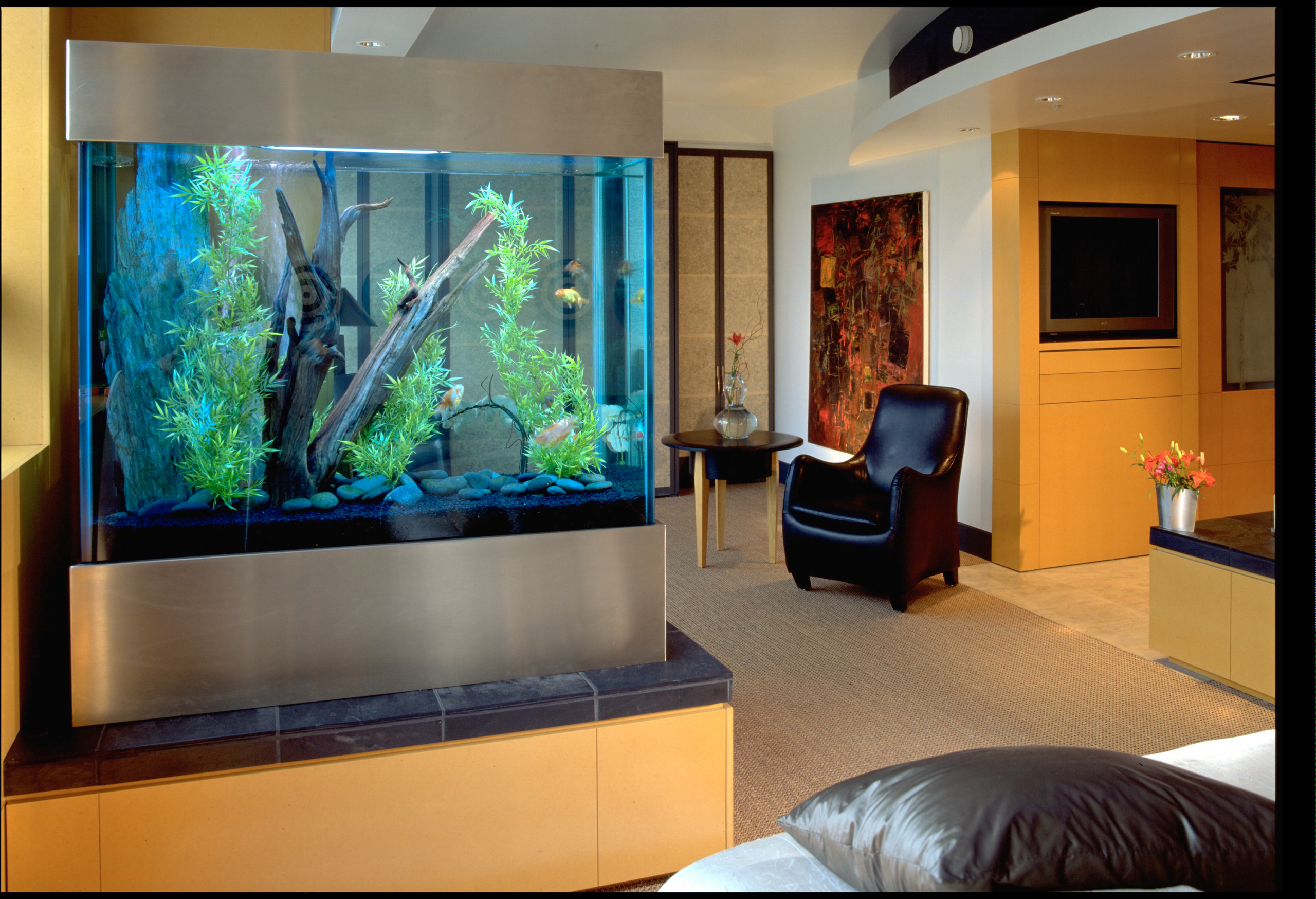 Fish Tank Dividing Wall
