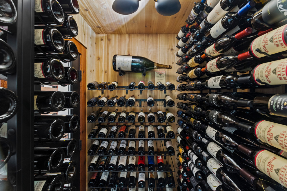 Wine cellar - transitional wine cellar idea