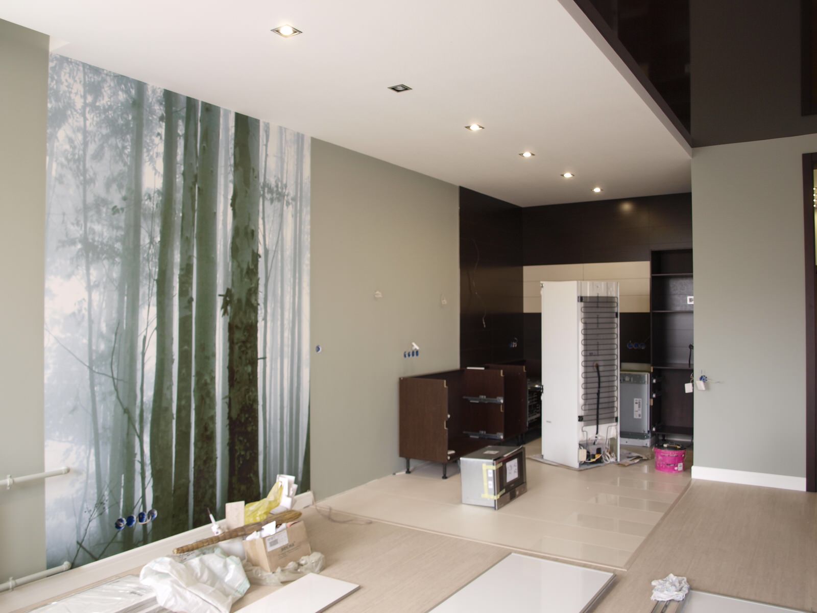 Квартира на Баумана (рабочие моменты)