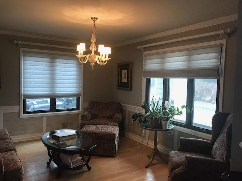 Alustra Vignette Modern Roman Shade