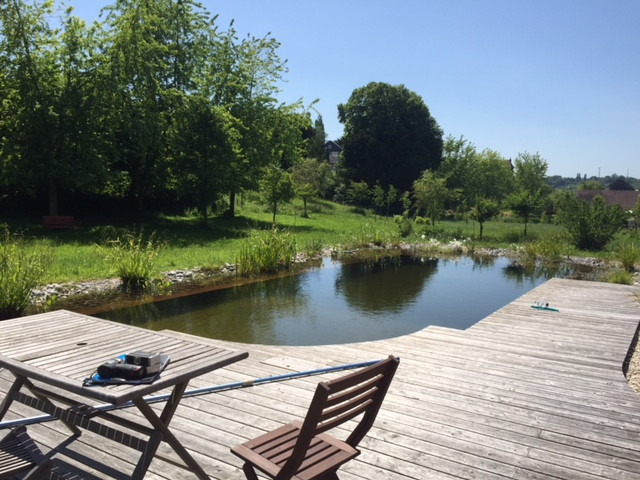 Baignade naturelle et terrasse bois