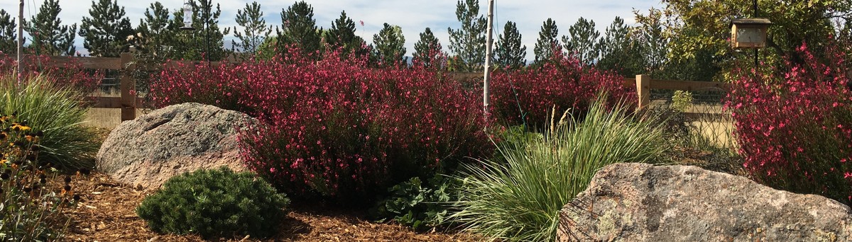 Glacier View Landscape Design Inc Longmont Co Us 80504
