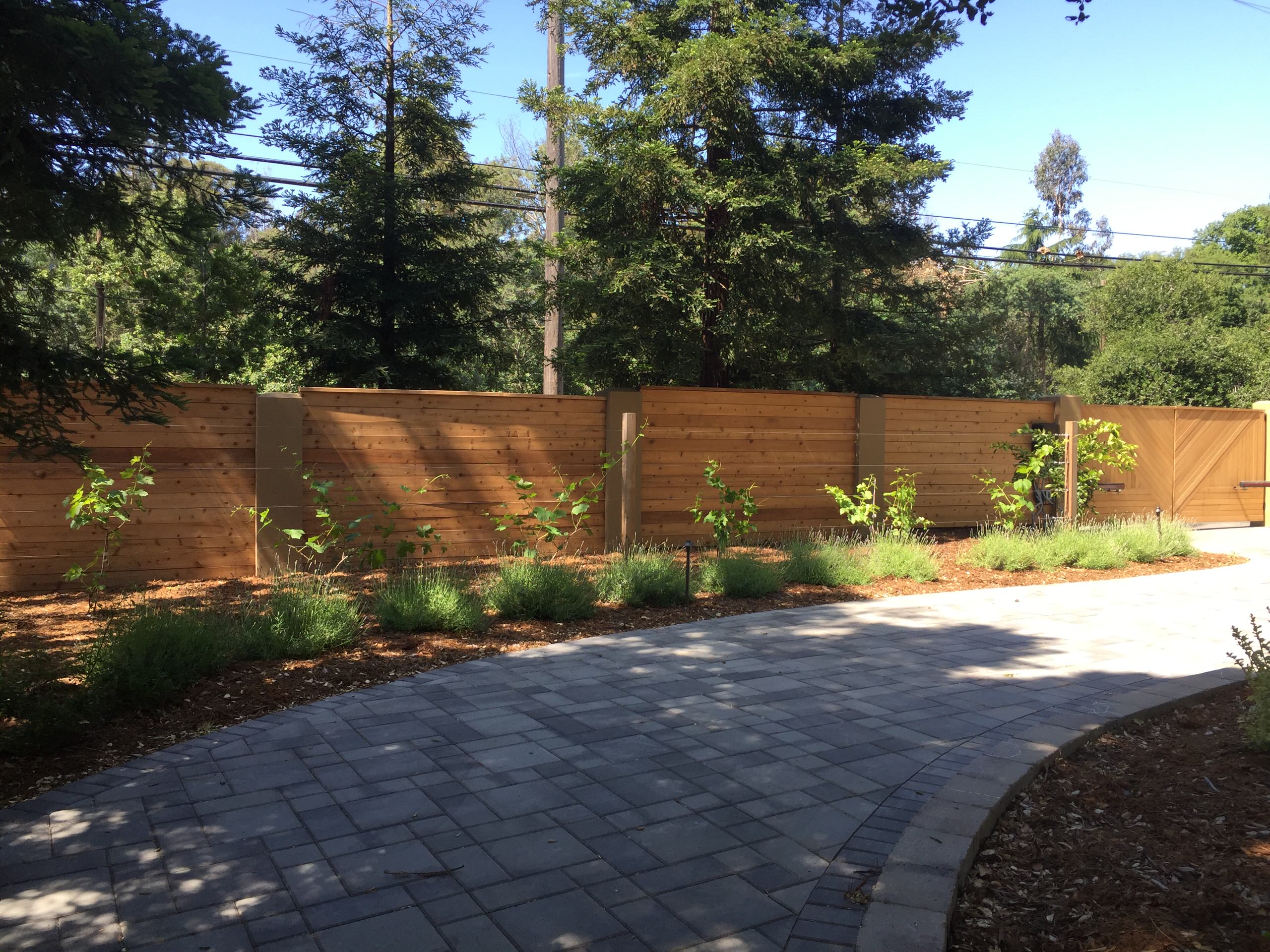 Monte Sereno Remodel