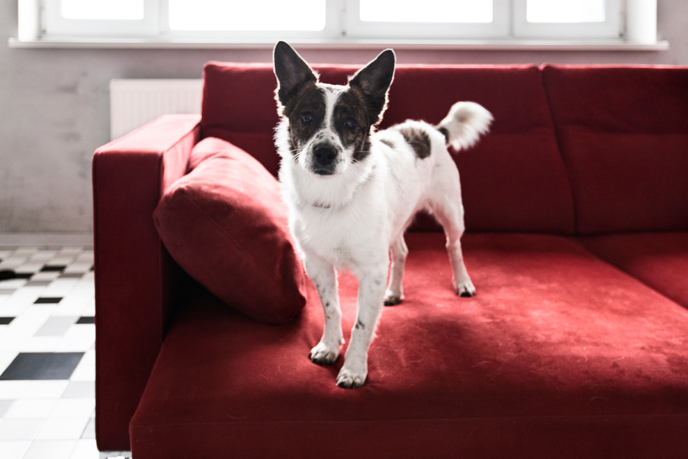 Ася/ Молодежная