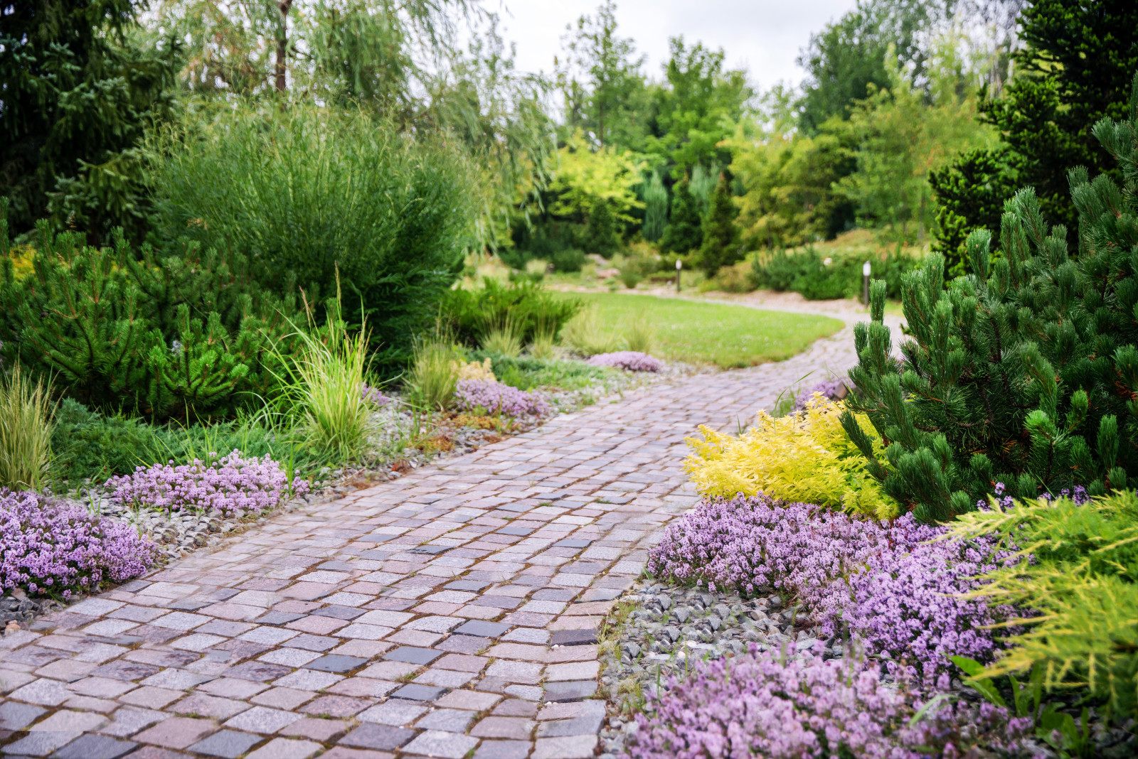 Лесное озеро