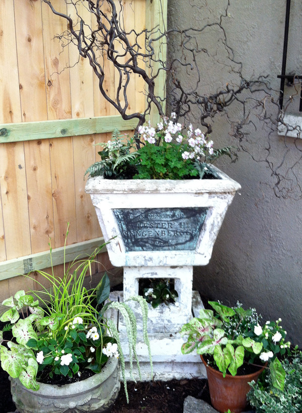 Back yard wedding | Artistry Landscaping Design