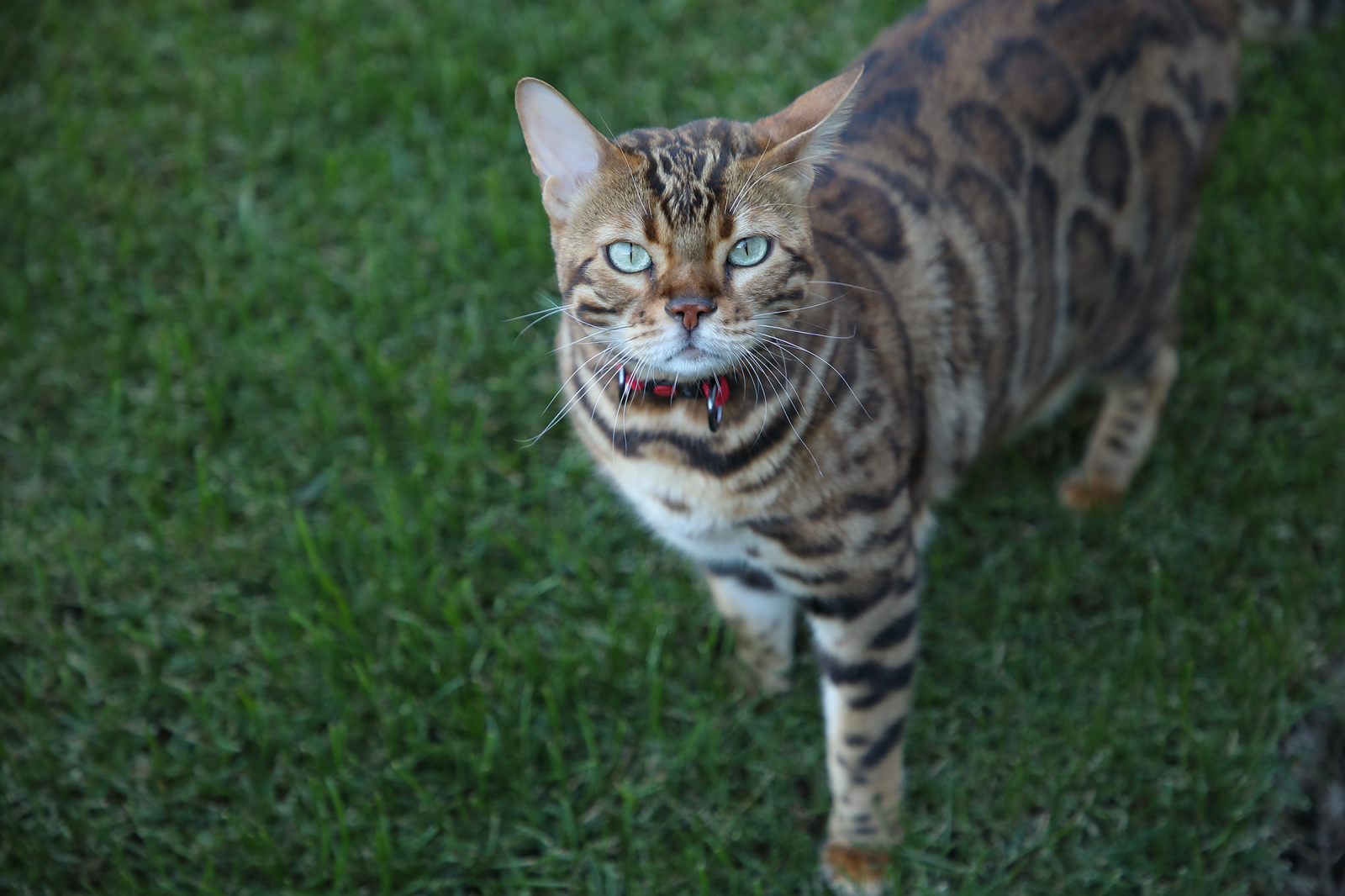 КП ЭкоПарк Ушаково