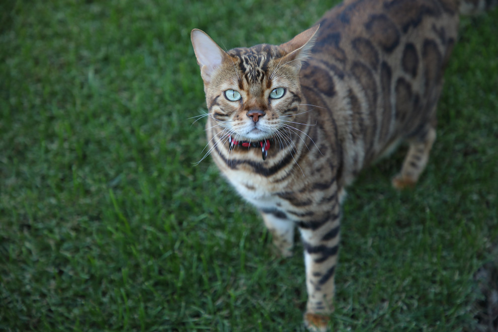 КП ЭкоПарк Ушаково