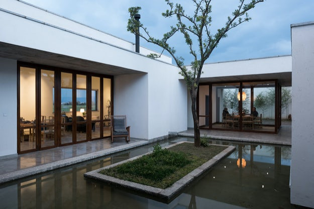 Courtyard 