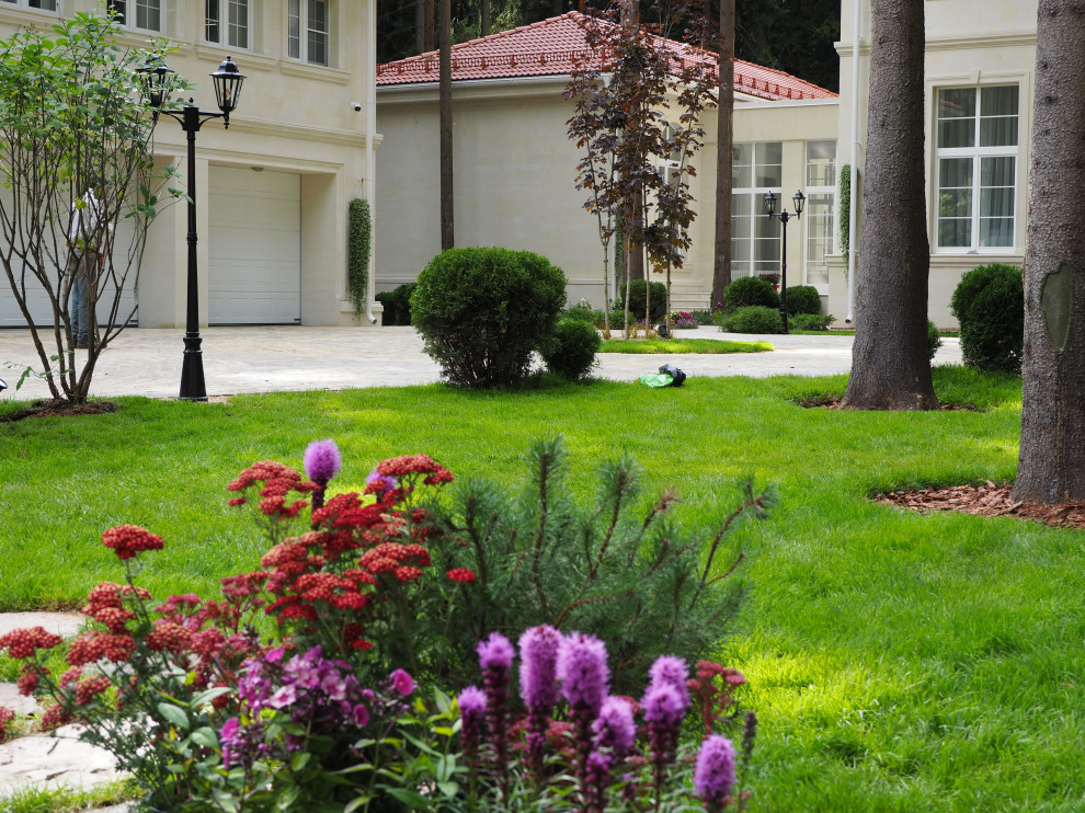 Проект Грибово