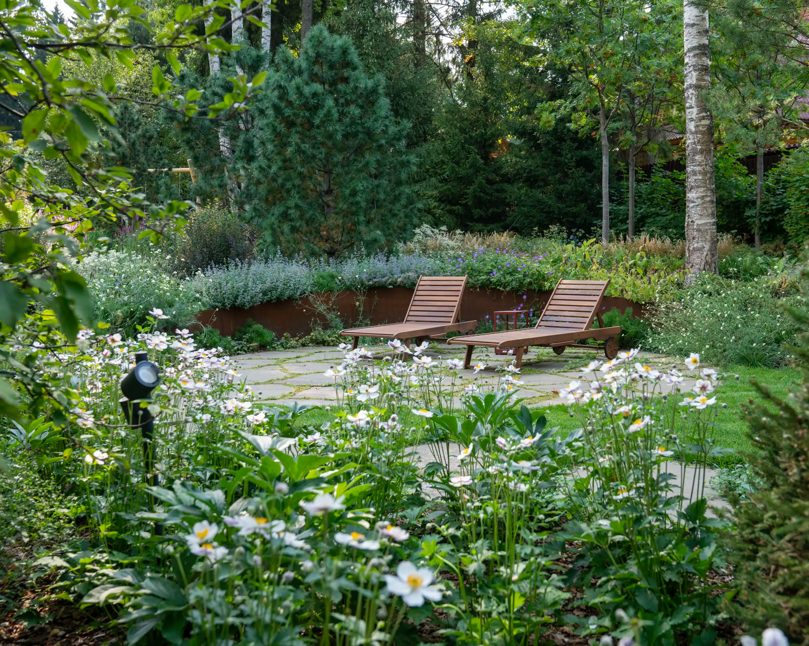 Круговорот  цвета. Дубровка 2021