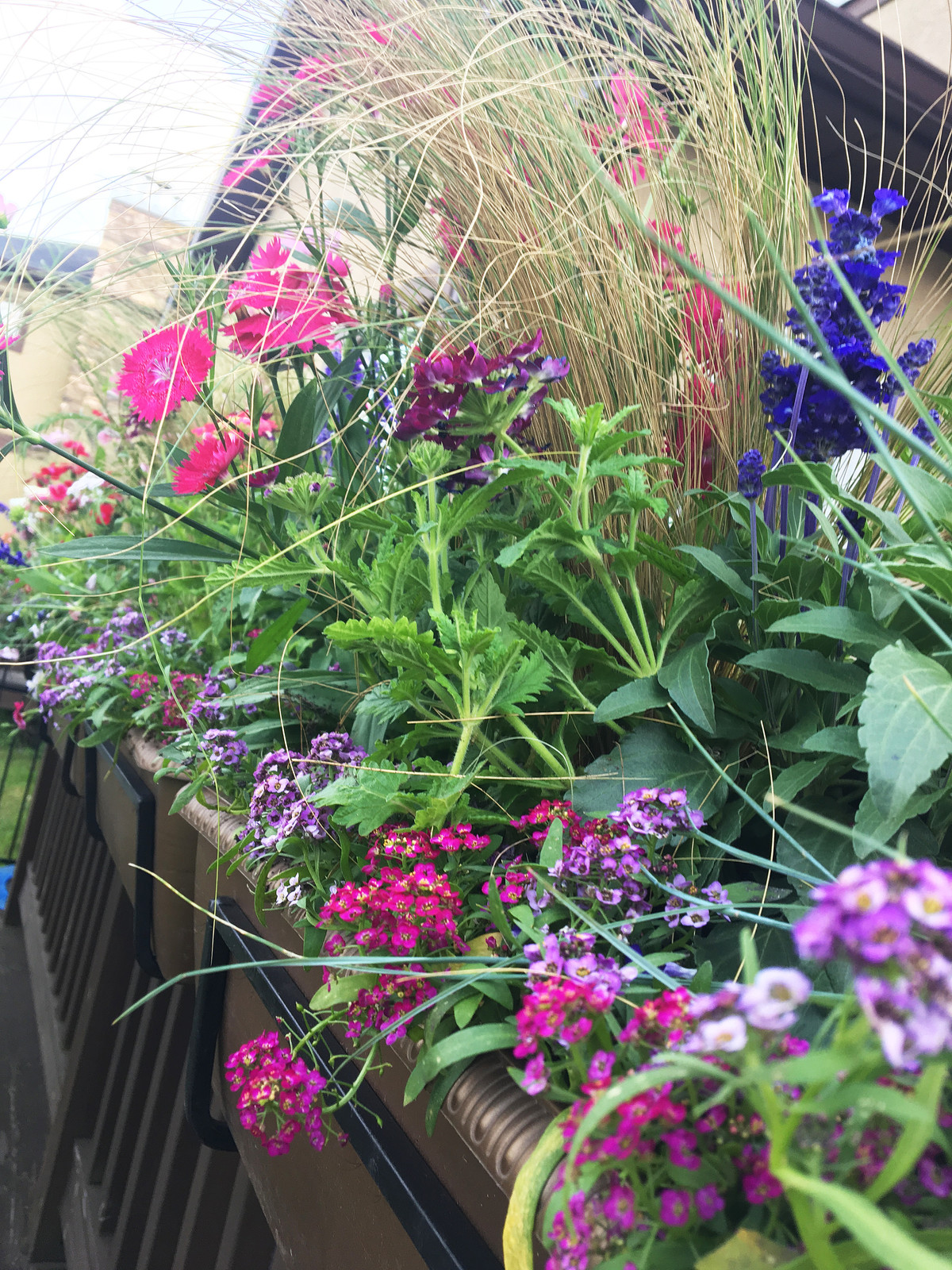 Терраса в Новых Вешках