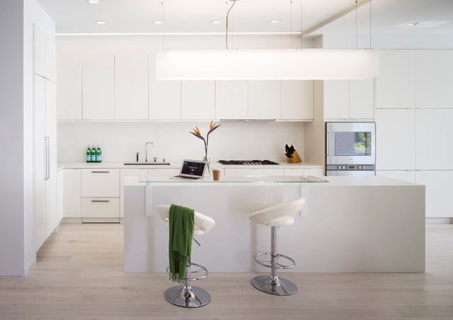 The White House modern-kitchen