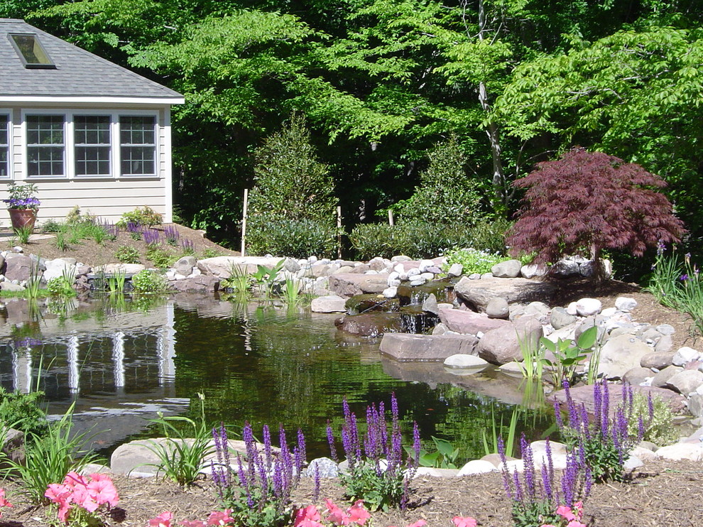 Photo of a large transitional backyard partial sun garden for summer in Baltimore with with pond.