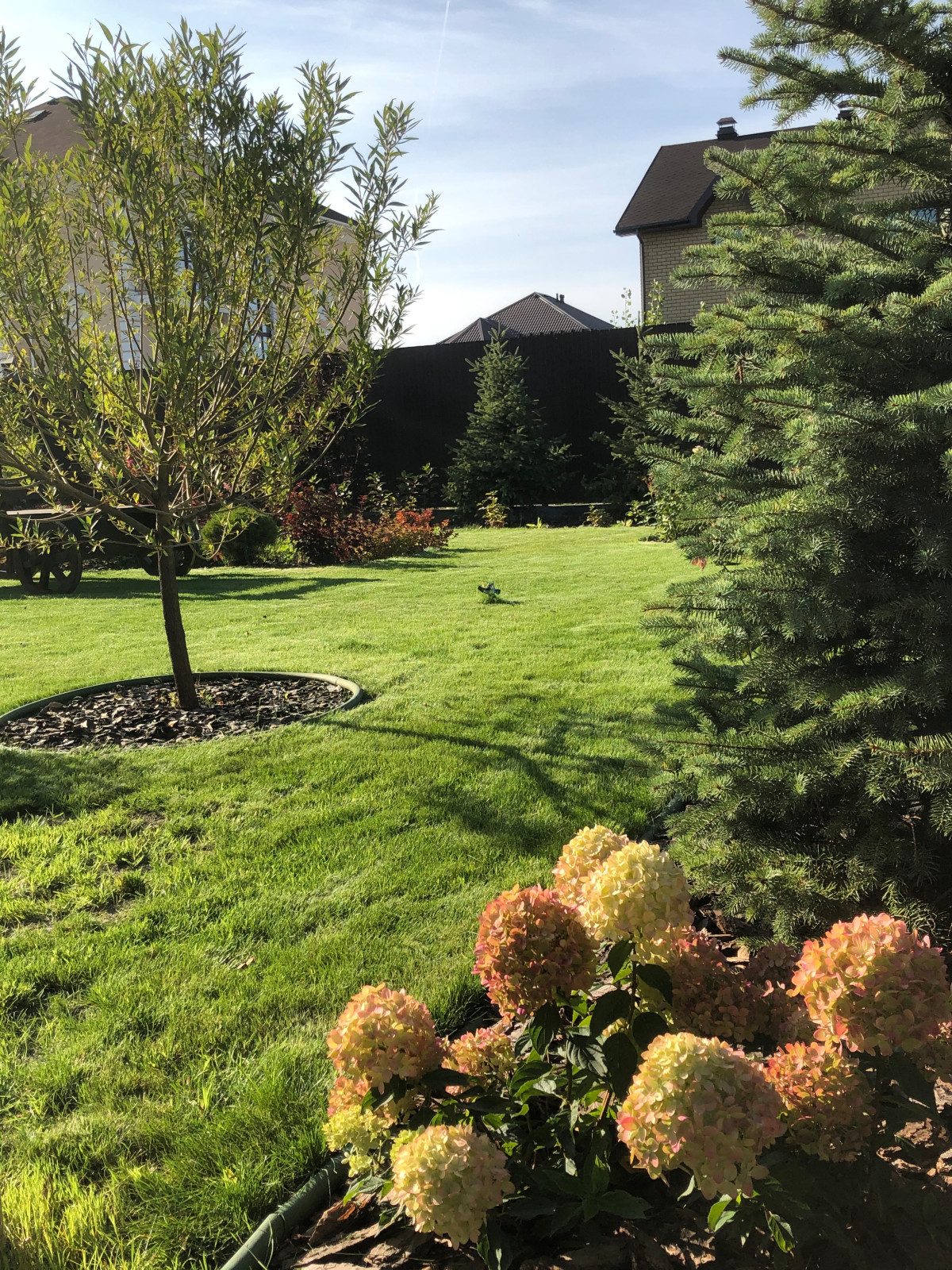 Сад с арт-объектом