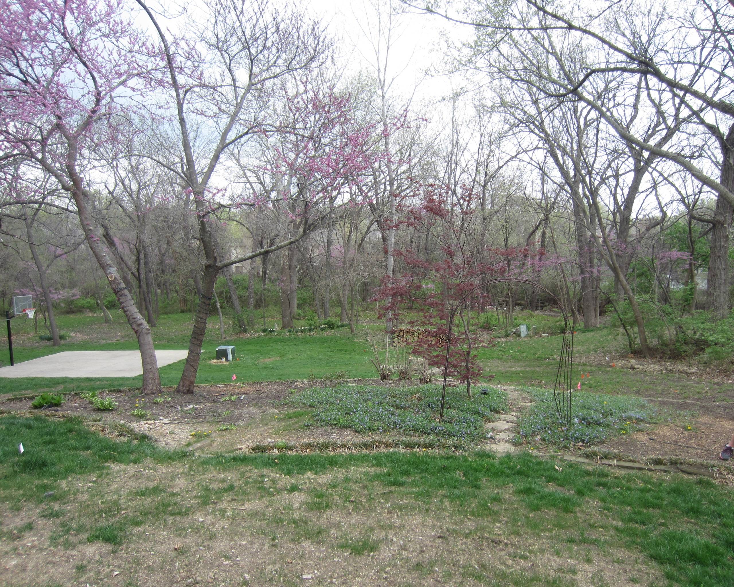 WOODLAND HILLSIDE