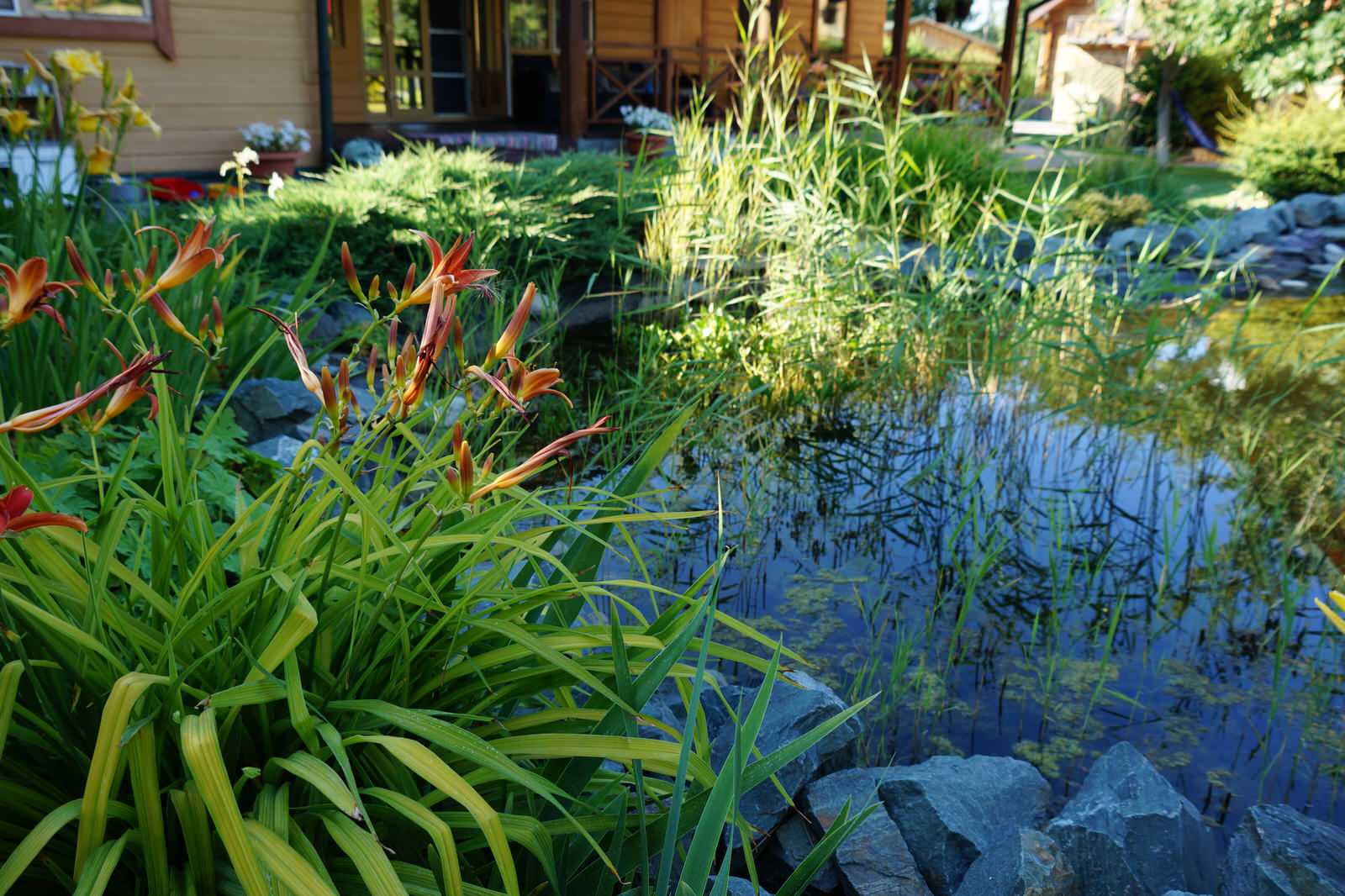 Сад с озером