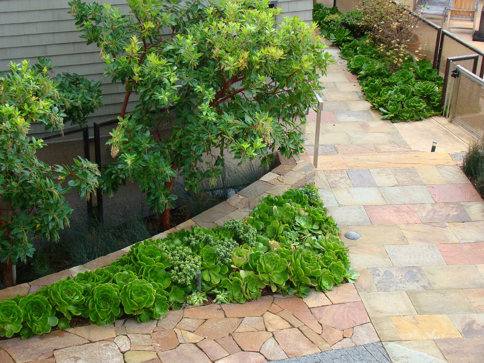 Inspiration for a contemporary garden in San Francisco with natural stone pavers.