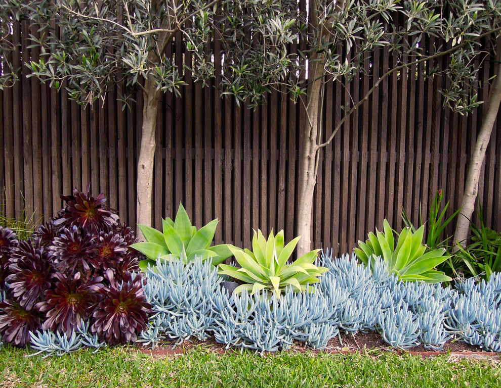 Inspiration for a large contemporary backyard partial sun garden in Melbourne with mulch.