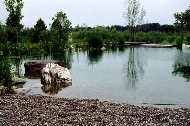 BioNova Natural Swimming Pools - International swimming-pool-and-hot-tub