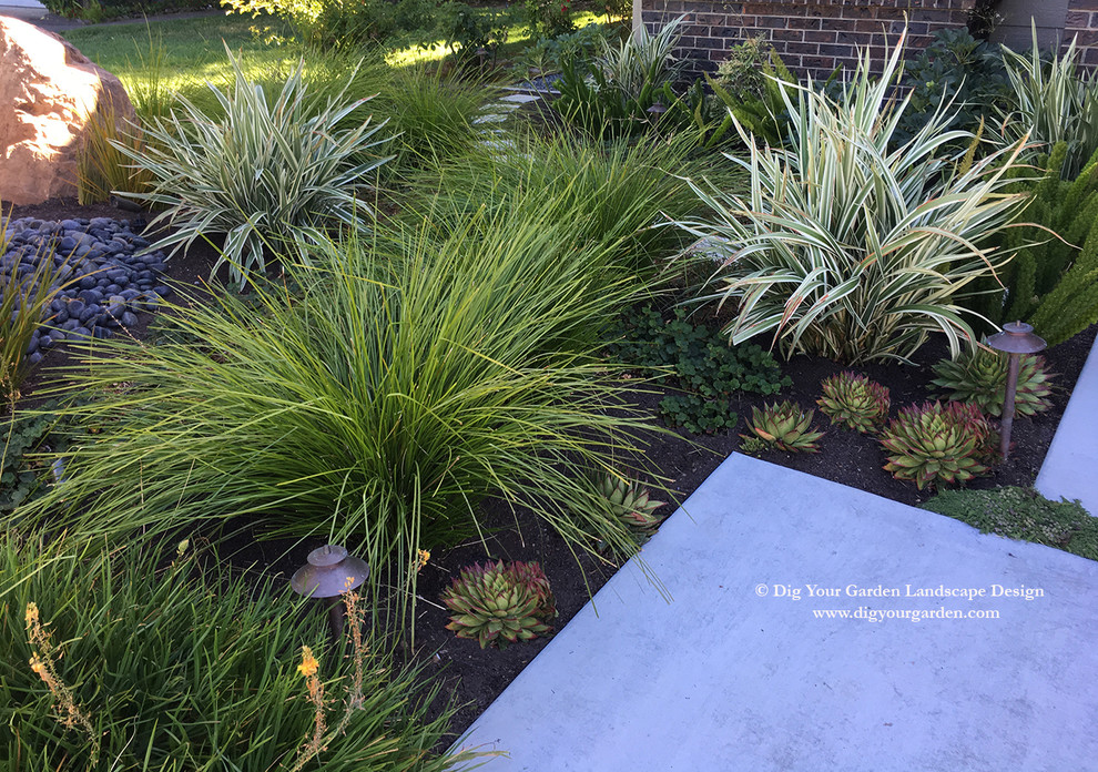 Photo of a large contemporary front yard partial sun xeriscape for summer in San Francisco with a garden path and concrete pavers.