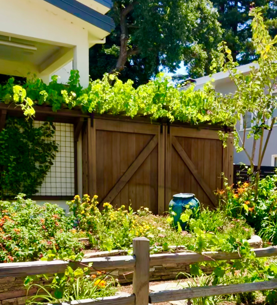 Kleiner, Halbschattiger Moderner Garten hinter dem Haus mit Holzzaun in San Francisco