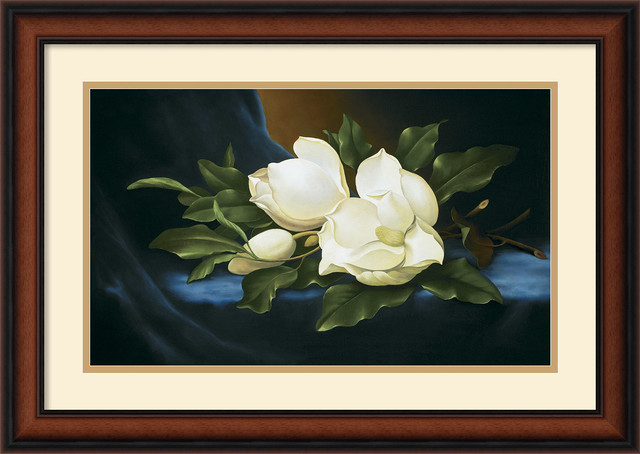 Magnolias Framed Print by Paul Cordsen