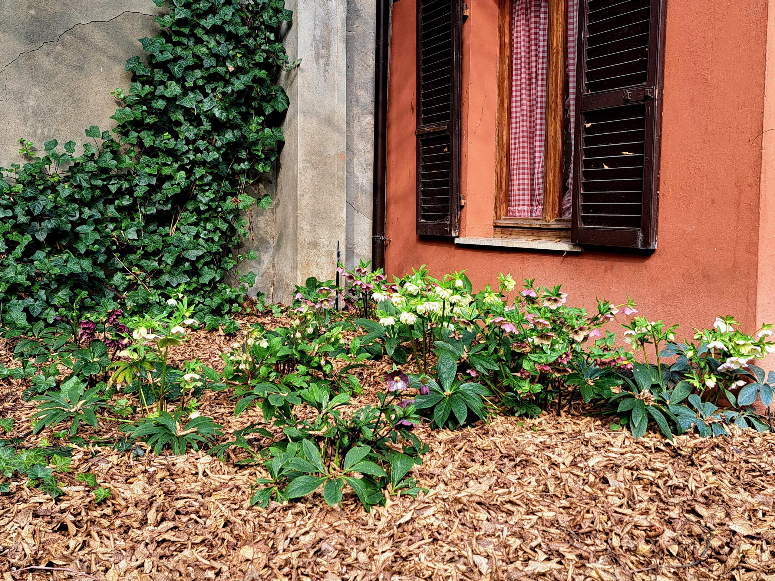 Giardino privato P.S.