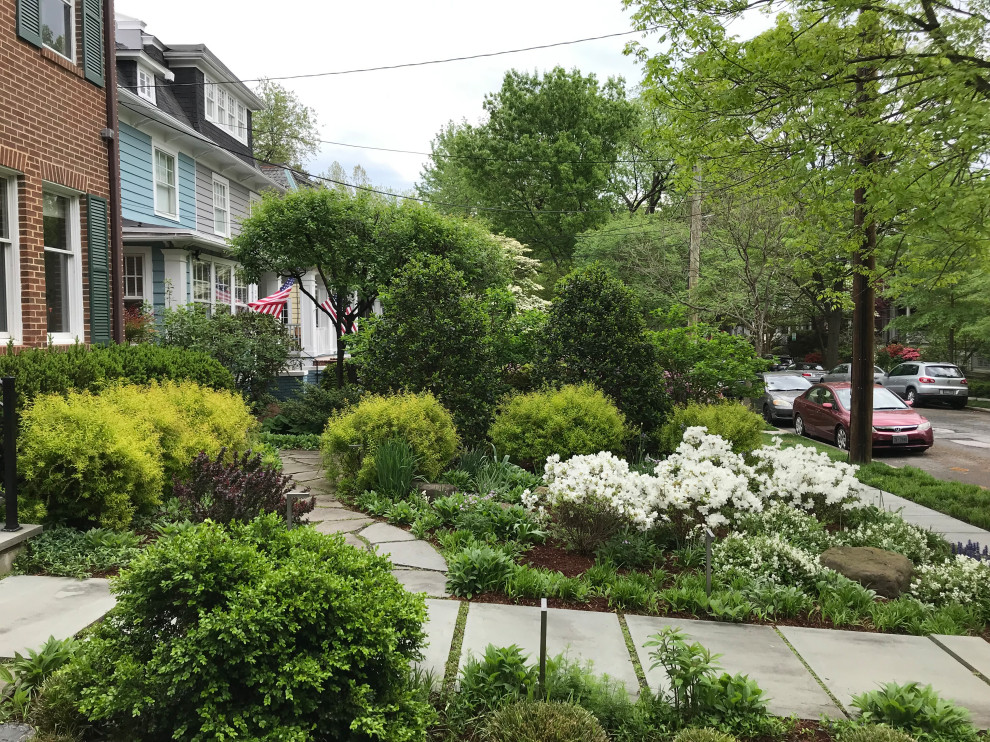 Chevy Chase DC