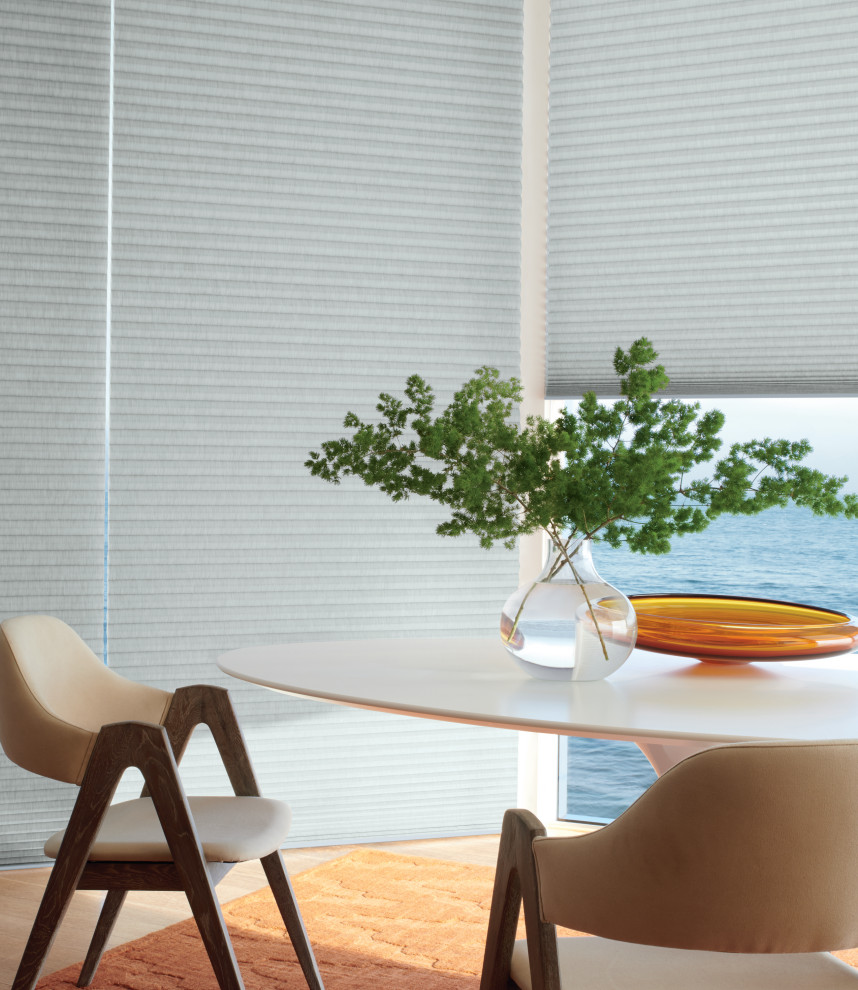 2021 Projects, Hunter Douglas Shades, Blinds, Room Darkening, Photos