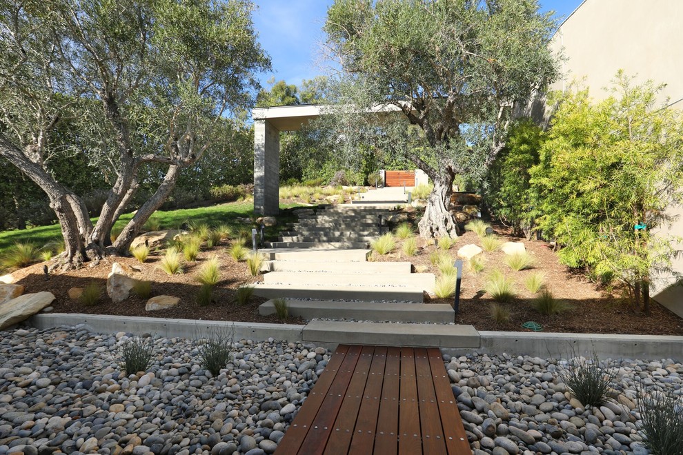 Photo of a large contemporary front yard garden in Orange County with a garden path and concrete pavers.