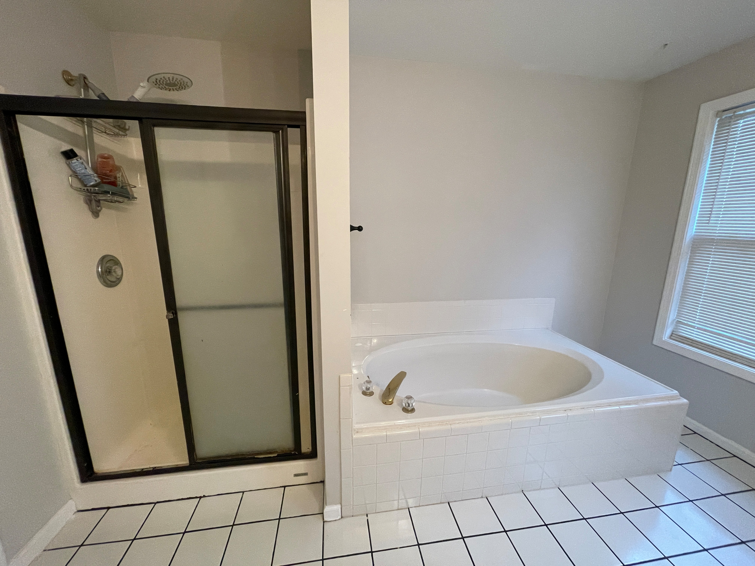 Master Bathroom Upgrade