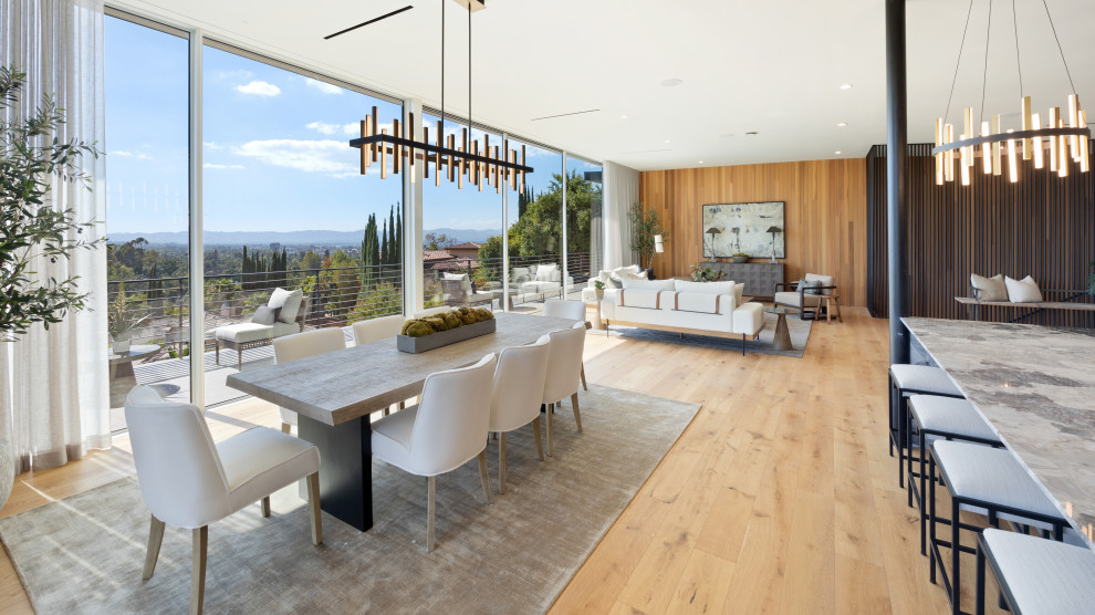 Design ideas for a contemporary home design in Los Angeles.