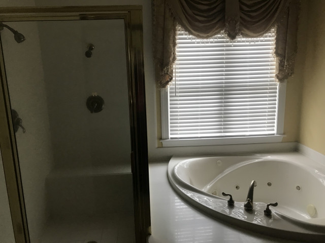 Whole House Remodel - BEFORE badezimmer