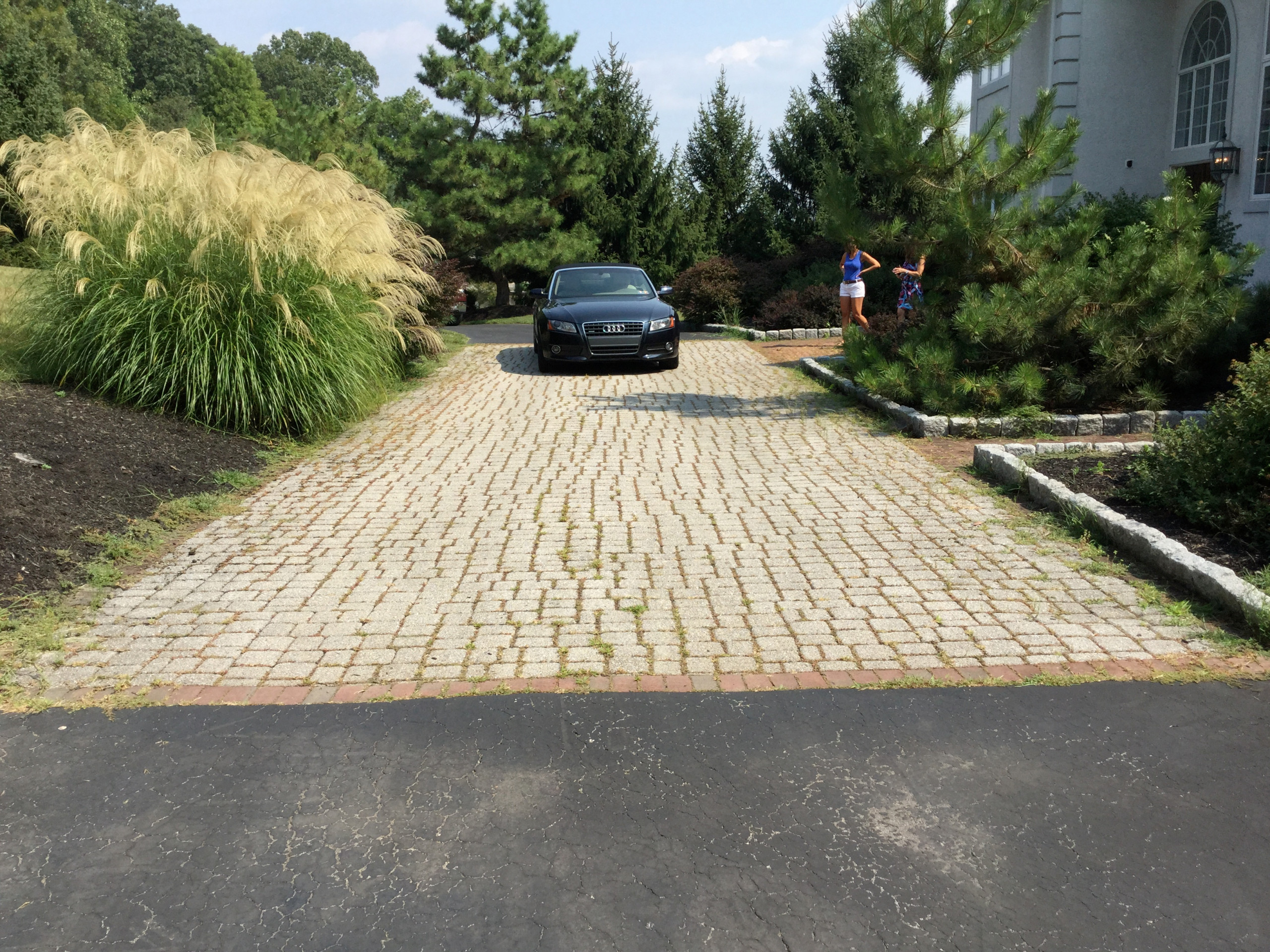 Paver Maintenance- Before