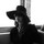 Sylvia Donato