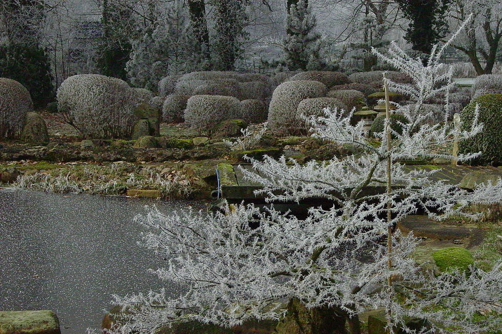 Garten im Winter in Hanover