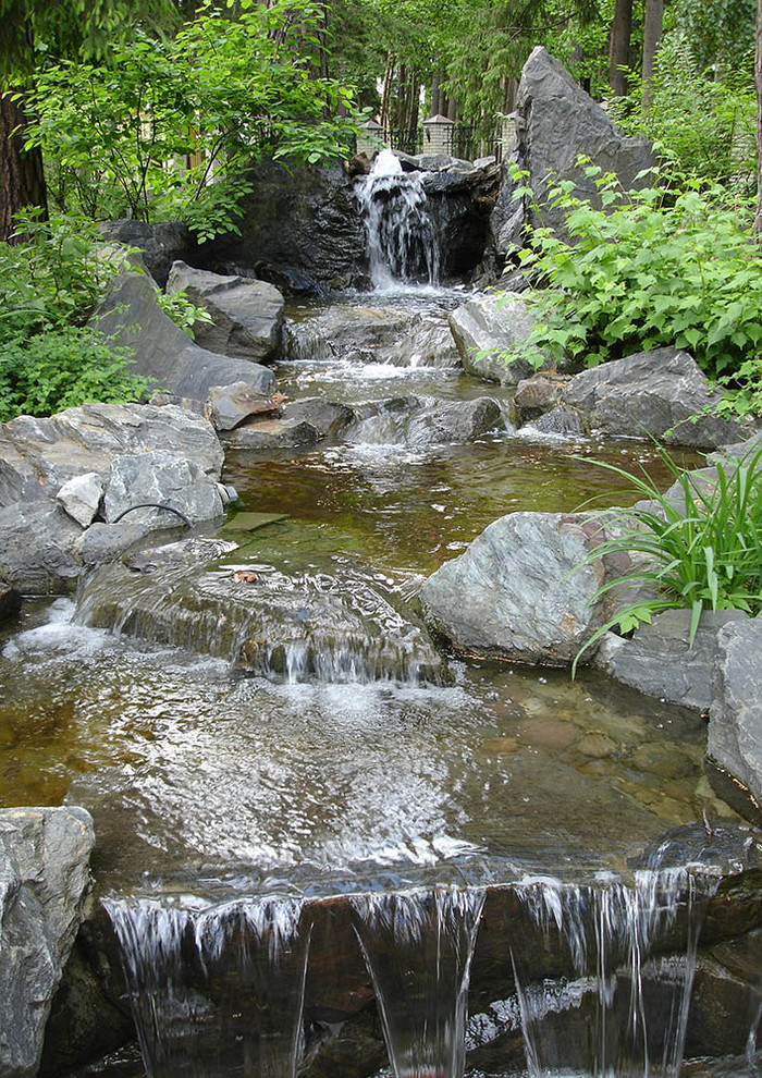 Сад с водоемом в КП " Сосновый Бор"