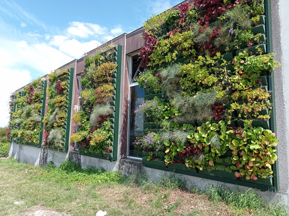 Végétaux naturels Façade végétalisée / Mur végétal extérieur — free download