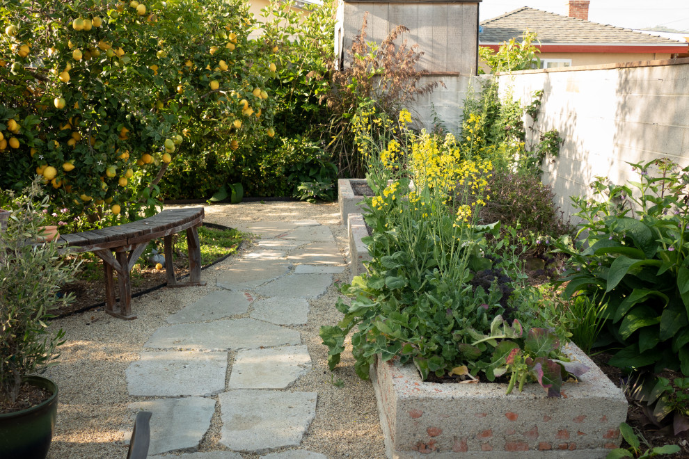 Design ideas for a mid-sized eclectic backyard full sun xeriscape for spring in Santa Barbara with with a gate and gravel.