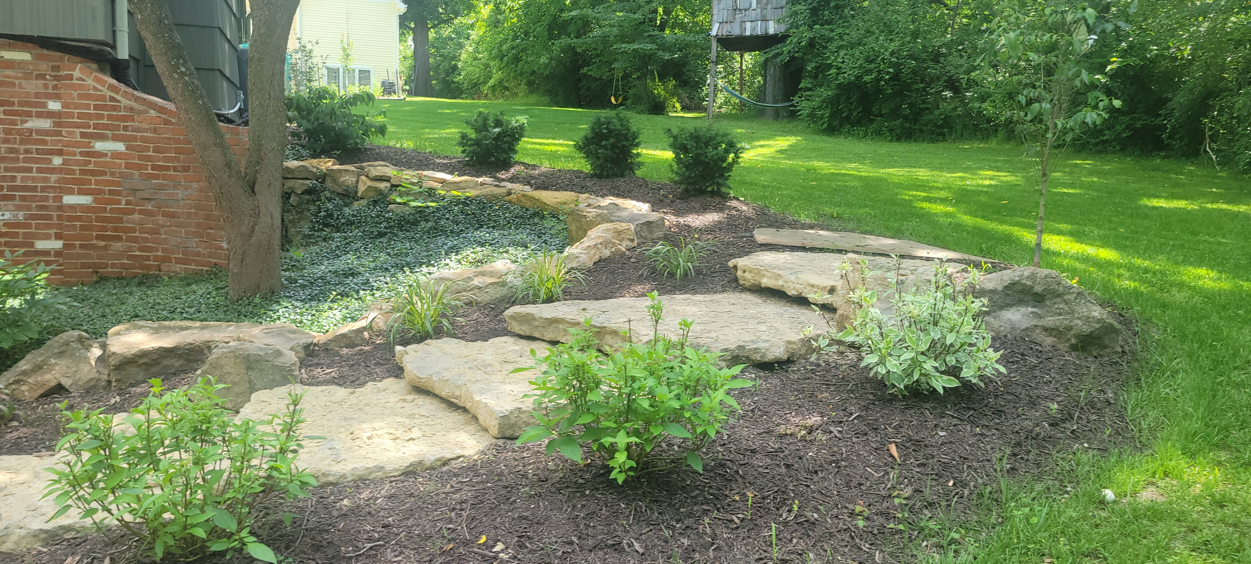 2025 Garden Highlights