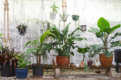 マクラメプランツハンガーのある グリーンいっぱいのインテリア Houzz ハウズ