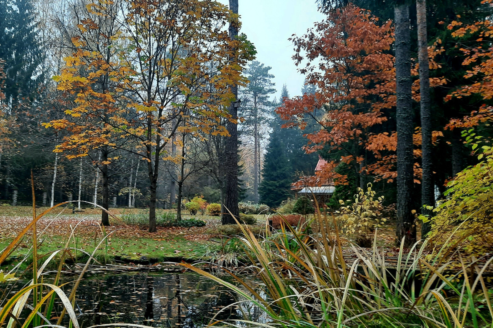 Романтический сад в пейзажном стиле