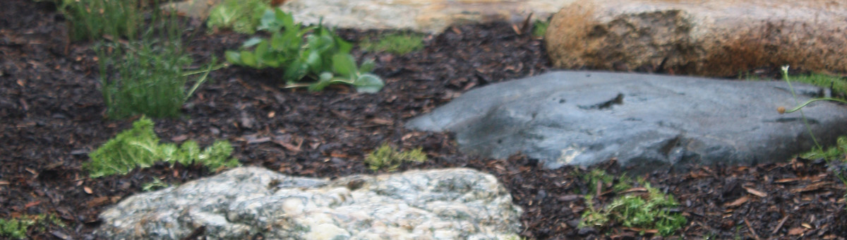 Contemporary / Japanese Garden