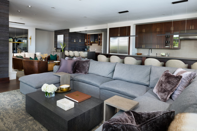 Boulder Contemporary Condo modern-wohnbereich