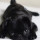 bintou_mcwhinney