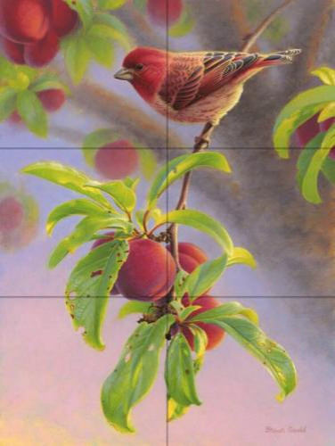 Tile Mural Purple Finch And Plums SG By Shawn Gould, 24