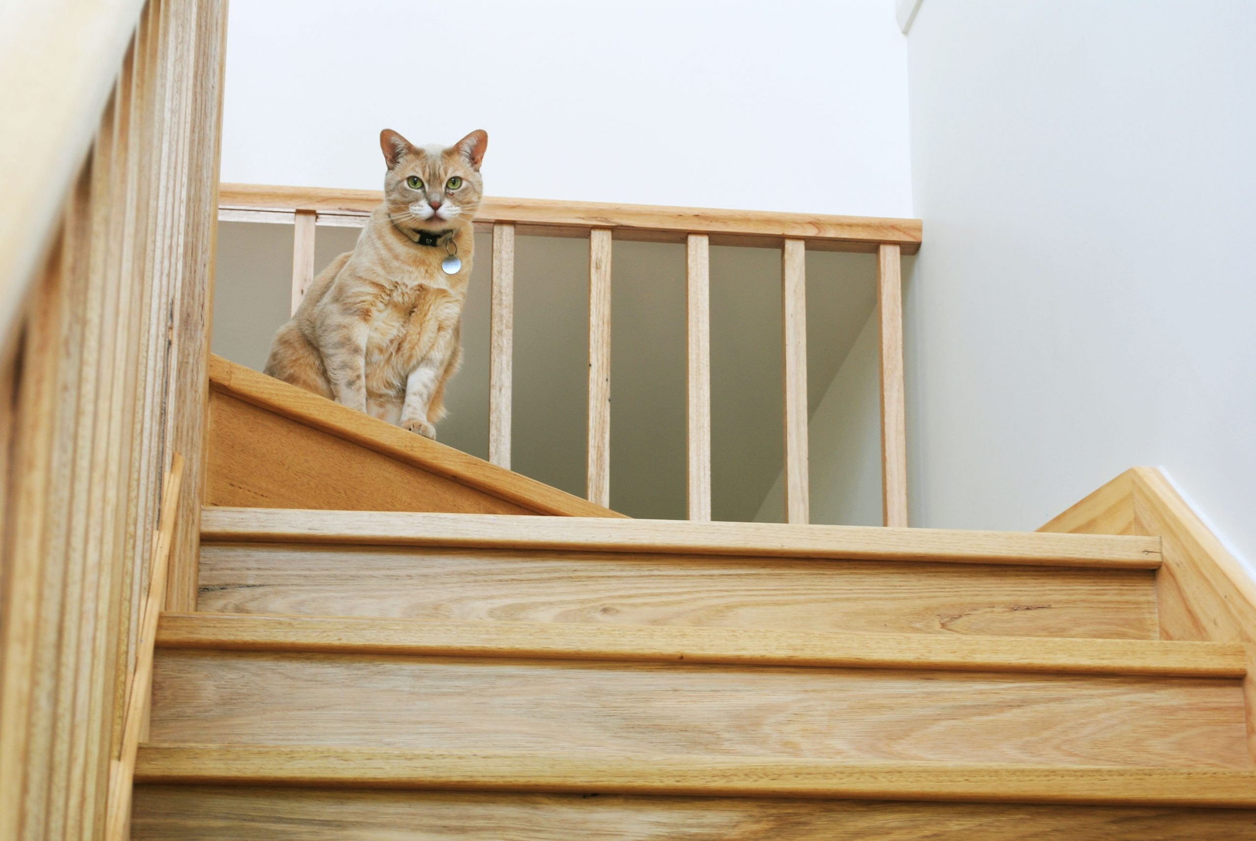 Blackburn Double-Storey Extension