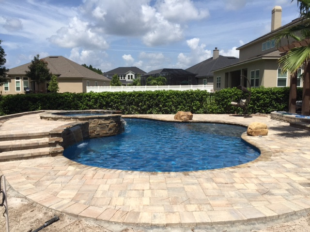 This is an example of a tropical pool in Jacksonville.
